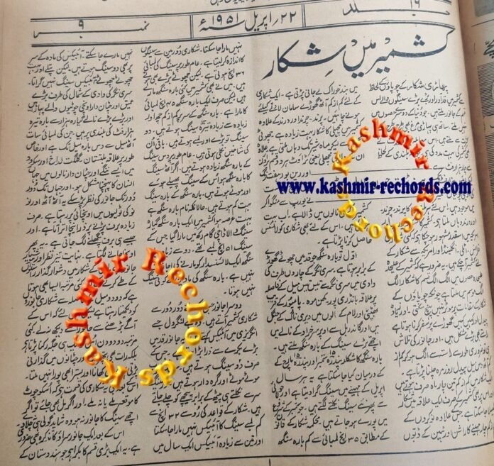 Hunting in Kashmir pic Shocking: killing of Hangul, Ibex was once permitted in Kashmir!