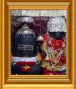 Kheer Bhawani Mela: 35 Yrs in Exile, Countless Yrs of Faith