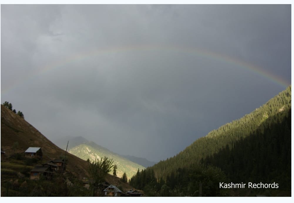 WhatsApp Image 2024-06-30 at 16.42.27_b315e2a4